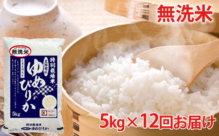 無洗米北海道赤平産ゆめぴりか特別栽培米5kg×12回お届け
