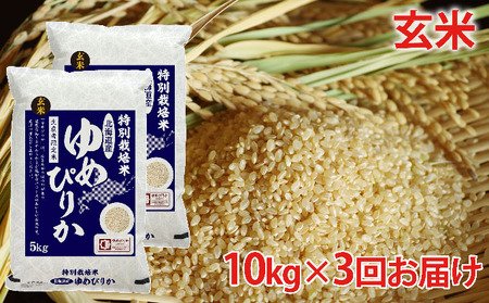 玄米 北海道赤平産ゆめぴりか特別栽培米10kg×3回お届け