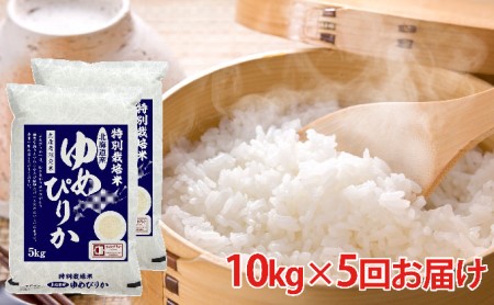 北海道赤平産ゆめぴりか特別栽培米10kg×5回お届け