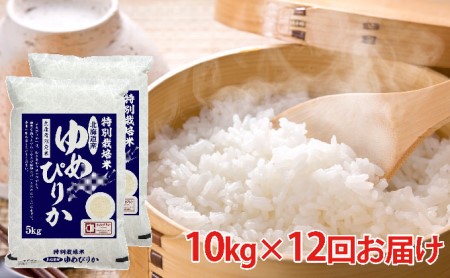 北海道赤平産ゆめぴりか特別栽培米10kg×12回お届け