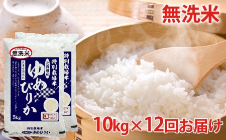 無洗米 北海道赤平産ゆめぴりか特別栽培米10kg×12回お届け