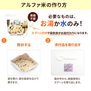 北海道赤平市産ゆめぴりか使用！ 白米 100g 五目御飯 100g 各2袋セット 大粒で甘みしっかり アルファ米 保存食 非常食 長期保存 アルファ化米 within2025