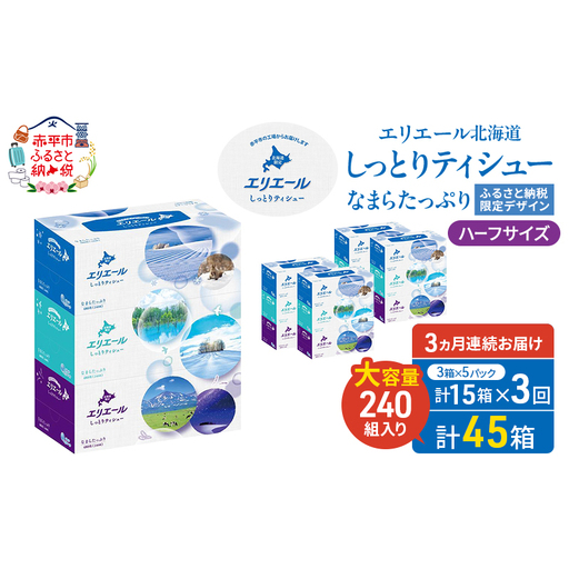 定期便 3ヵ月連続お届け エリエール ハーフサイズ 収納に便利 コンパクト 【少量5パック】 北海道 しっとりティシュー なまらたっぷり 240組3箱 5パック 計15箱 ボックスティシュー ふるさと納税限定デザイン