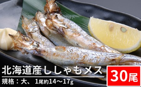 北海道産ししゃもメス(30尾 規格:大)※1尾約14~17g