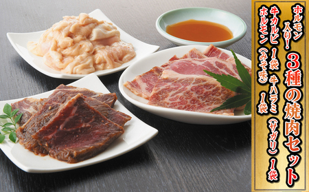 人気の特製ホルモン入り3種の焼肉セット お肉 牛肉 バーベキュー 牛肉/ホルモン