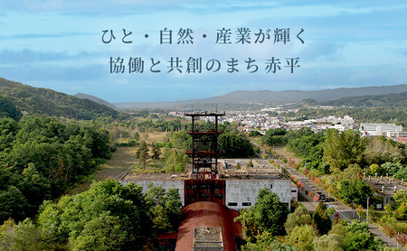 たきもとのホルモンセット(みそ・塩) 豚肉/ホルモン