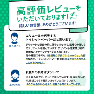 【2ヶ月連続お届け】エリエール [アソートA] トイレットペーパー ティッシュ トイレ ボックスティッシュ 日用品 消耗品