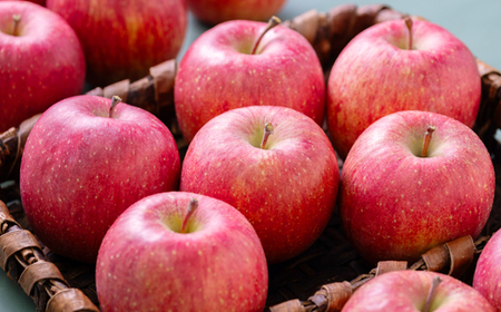 【贈答用にもどうぞ】 青森市産りんご「葉取らずサンふじ」約5kg_果物・フルーツ りんご  リンゴ 林檎_【配送不可地域：離島・沖縄県】【1466367】