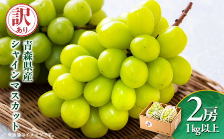 2025年発送【訳あり】青森市産シャインマスカット 2房(1kg以上)_果物・フルーツ ぶどう・マスカット ブドウ 葡萄 _【配送不可地域:離島・沖縄県】【1492539】