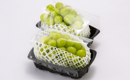 2025年発送【訳あり】青森市産シャインマスカット 2房(1kg以上)_果物・フルーツ ぶどう・マスカット ブドウ 葡萄 _【配送不可地域:離島・沖縄県】【1492539】