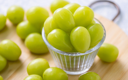 2025年発送【訳あり】青森市産シャインマスカット 2房(1kg以上)_果物・フルーツ ぶどう・マスカット ブドウ 葡萄 _【配送不可地域:離島・沖縄県】【1492539】