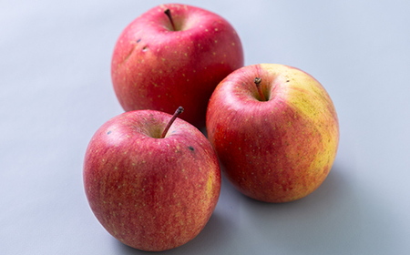 【訳あり】りんご 「葉取らずふじ」 (家庭用)約3kg(9～12個入り)_果物・フルーツ りんご  リンゴ 林檎_【配送不可地域：離島】【1496471】