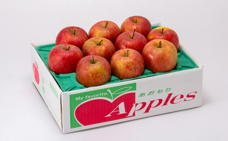 【訳あり】りんご 「葉取らずふじ」 (家庭用)約3kg(9～12個入り)_果物・フルーツ りんご  リンゴ 林檎_【配送不可地域：離島】【1496471】