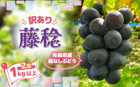 2026年発送【訳あり】種なしぶどう　青森県産　藤稔2房(1.0kg～1.2kg)_果物・フルーツ ぶどう・マスカット  ブドウ 葡萄 _【配送不可地域：離島】【1613278】