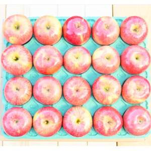 平均糖度13度以上! サンふじ 約10kg 訳あり CA貯蔵 クール便_果物・フルーツ りんご  リンゴ 林檎_【配送不可地域：離島・沖縄県】【1609611】