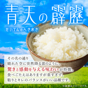 【令和7年産】青森県産　青天の霹靂5kg(精米)_ 精米 米 _【1611411】