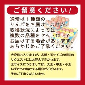 【26年5月出荷予定】りんご 品種おまかせ 約3kg 訳あり CA貯蔵 クール便_果物・フルーツ りんご  リンゴ 林檎_【配送不可地域：離島・沖縄県】【1612944】