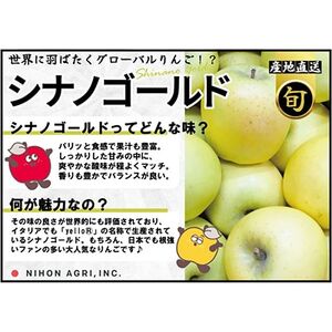 【26年2月出荷予定】平均糖度13度以上! シナノゴールド 約10kg 訳あり_果物・フルーツ りんご  リンゴ 林檎_【1612917】
