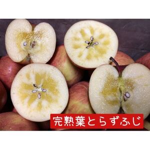 【先行受付】葉とらずふじ・王林 りんご100%ジュース詰め合わせ3kg【配送不可地域:離島・沖縄県】【1181952】