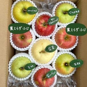 先行受付【青森市産・5品種詰め合わせ】約3kg(家庭用)【配送不可地域:離島・沖縄県】【1181958】