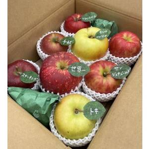 先行受付【青森市産・5品種詰め合わせ】約3kg(家庭用)【配送不可地域:離島・沖縄県】【1181958】