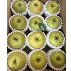 先行受付【青森市産・王林】約3kg(家庭用)【1181964】