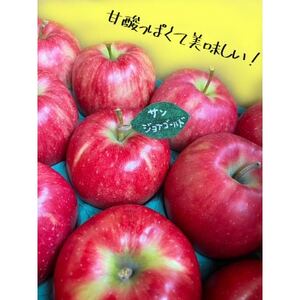 先行受付【青森市産・サンジョナゴールド】約3kg(家庭用)【1181965】