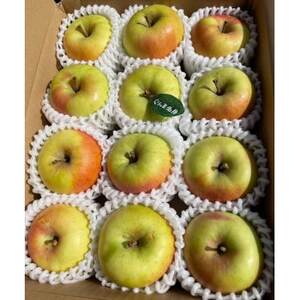 先行受付【青森市産・ぐんま名月】約3kg(家庭用)【1181966】