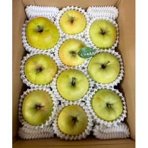 先行受付【青森市産・ぐんま名月】約3kg(家庭用)【1181966】