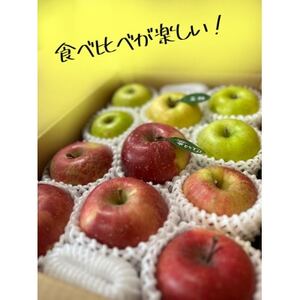 先行受付【青森市産・完熟葉とらずふじ&王林】約3kg(家庭用)【1181967】