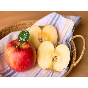 先行受付【青森市産・完熟葉とらずふじ&王林】約3kg(家庭用)【1181967】