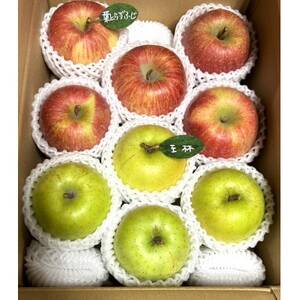 先行受付【青森市産・完熟葉とらずふじ&王林】約3kg(家庭用)【1181967】