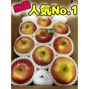 先行受付【青森市産・完熟葉とらずふじ】約3kg(家庭用)【1181968】