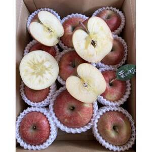 先行受付【青森市産・完熟葉とらずふじ】約3kg(家庭用)【1181968】