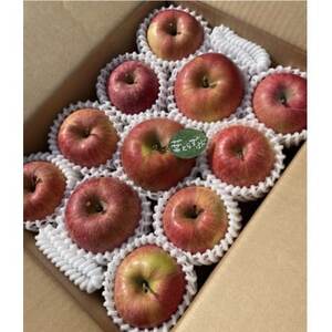 先行受付【青森市産・完熟葉とらずふじ】約3kg(家庭用)【1181968】