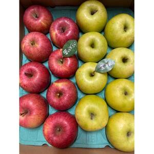 【2025年産】りんご 完熟葉とらずふじ・王林詰め合わせ 5kg (16~24玉)【配送不可地域:離島・沖縄県】【1181953】