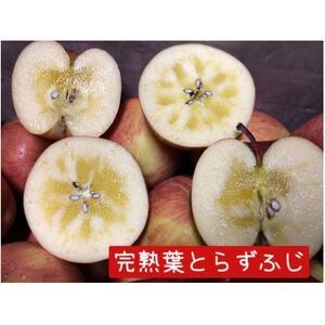 【2025年産】りんご 完熟葉とらずふじ・王林詰め合わせ 5kg (16~24玉)【配送不可地域:離島・沖縄県】【1181953】