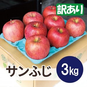 【2026年2月発送予定】糖度13度以上保証!サンふじ約3kg(6～18玉) 訳あり【配送不可地域：離島】【1694626】