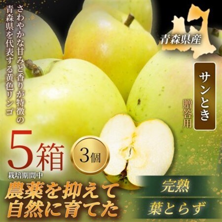 【青森直送 季節の味覚をお届け!】サンとき 3個入×5箱(贈答用)青森産 産地直送 限定生産【配送不可地域：離島】【1700963】