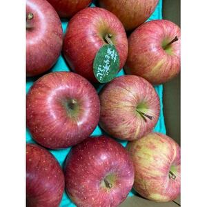 りんご 完熟葉とらずふじ 10kg (家庭用)【配送不可地域：離島】【1181955】