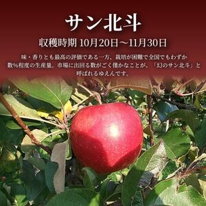 【青森直送 季節の味覚をお届け!】サン北斗(幻のサン北斗)10kg×1箱(訳あり)青森産 産地直送【配送不可地域：離島】【1700962】