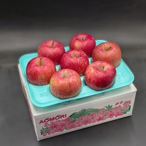 【訳あり】青森県産りんご 品種おまかせ お試しサイズ 約2kg【配送不可地域：離島・沖縄県】【1716456】