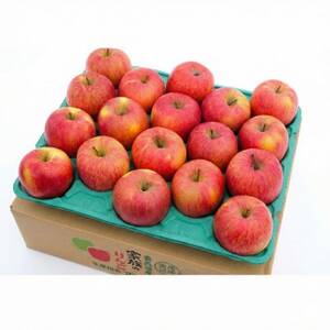 【26年4月出荷予定】平均糖度13度以上! 葉とらずサンふじ 約5kg 訳あり【配送不可地域：離島】【1717709】