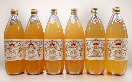 青森市産　カルネ　りんごジュース　3種6本セット_飲料・ドリンク りんごジュース 果汁飲料 林檎ジュース アップルジュース リンゴジュース_【1076430】