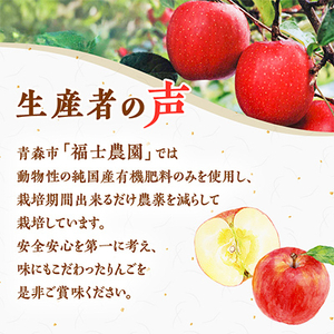 「王林」約3kg・糖度14度以上保証・訳あり家庭用りんご_果物・フルーツ りんご  リンゴ 林檎_【配送不可地域：離島・沖縄県】【1106864】