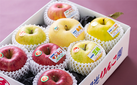 贈答用【2025年11月~2026年3月発送】農家おススメ!旬のりんご約3kg(9玉~11玉入り)_果物・フルーツ りんご リンゴ 林檎_【配送不可地域:離島】【1222610】