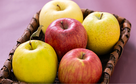 贈答用【2025年11月~2026年3月発送】農家おススメ!旬のりんご約3kg(9玉~11玉入り)_果物・フルーツ りんご リンゴ 林檎_【配送不可地域:離島】【1222610】