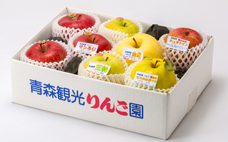 贈答用【2025年11月~2026年3月発送】農家おススメ!旬のりんご約3kg(9玉~11玉入り)_果物・フルーツ りんご リンゴ 林檎_【配送不可地域:離島】【1222610】