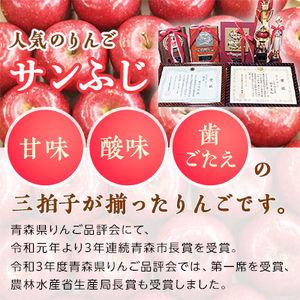 りんご 「サンふじ」 糖度14度以上保証 約3kg (8～12玉) 青森市長賞受賞 【配送不可地域：離島】【1085322】