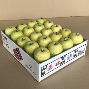 JA青森　青森県産りんご「王林」約5kg【配送不可地域：離島】【1127897】